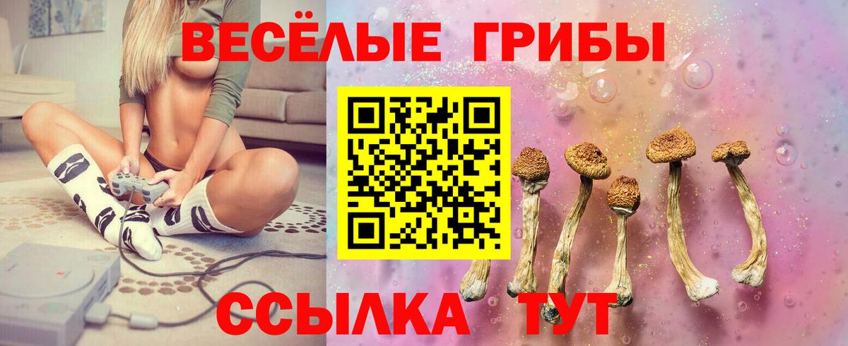Псилоцибиновые грибы прущие грибы  Вход с VPN  Псилоцибиновые грибы Psilocybe  Бугульма 