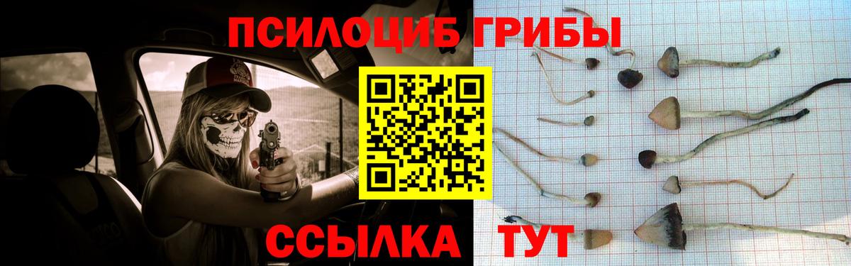 Псилоцибиновые грибы MAGIC MUSHROOMS Бугульма